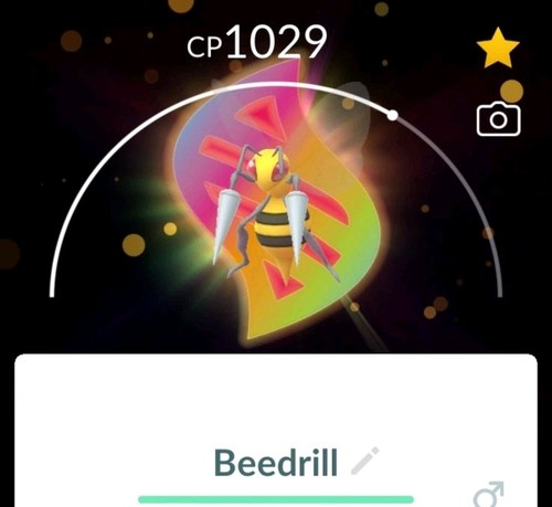 Pokèmon beedrill con il - pokèmon,